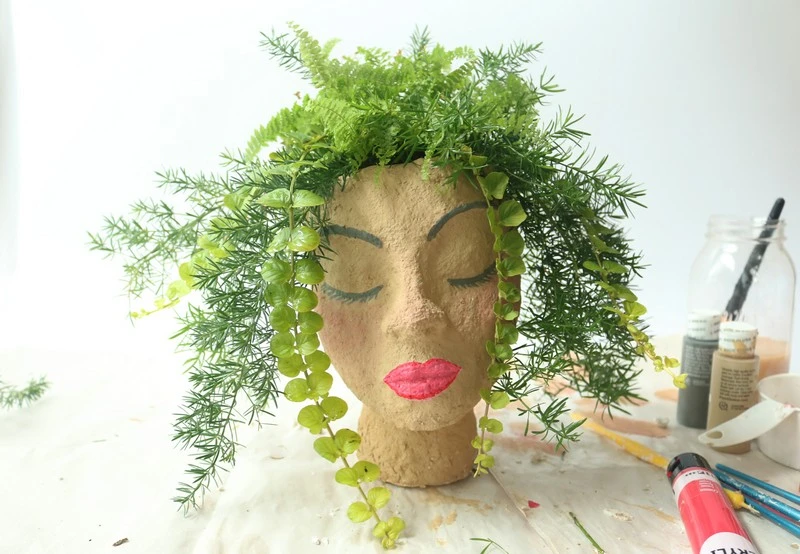 Lovely Indoor Head Planter